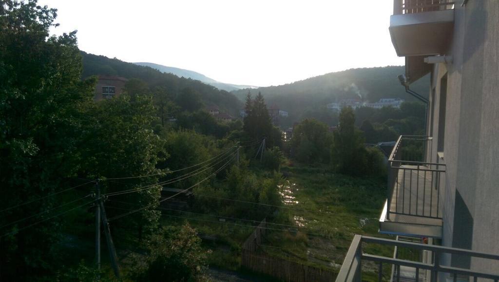Polyana Apart Apartment