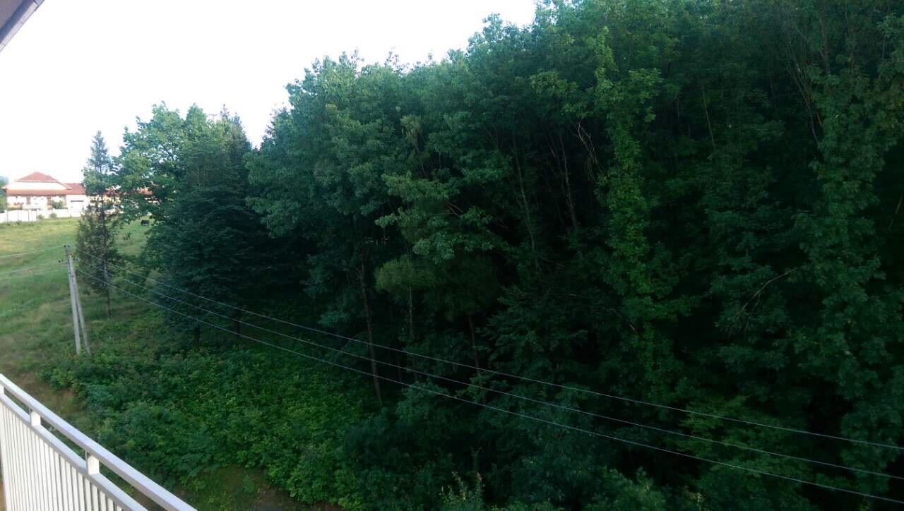 Polyana Apart Apartment Polyana (Transcarpathia)