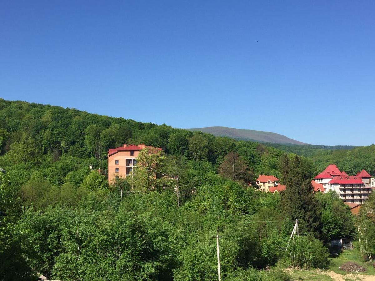 Polyana Apart Apartment Polyana (Transcarpathia)