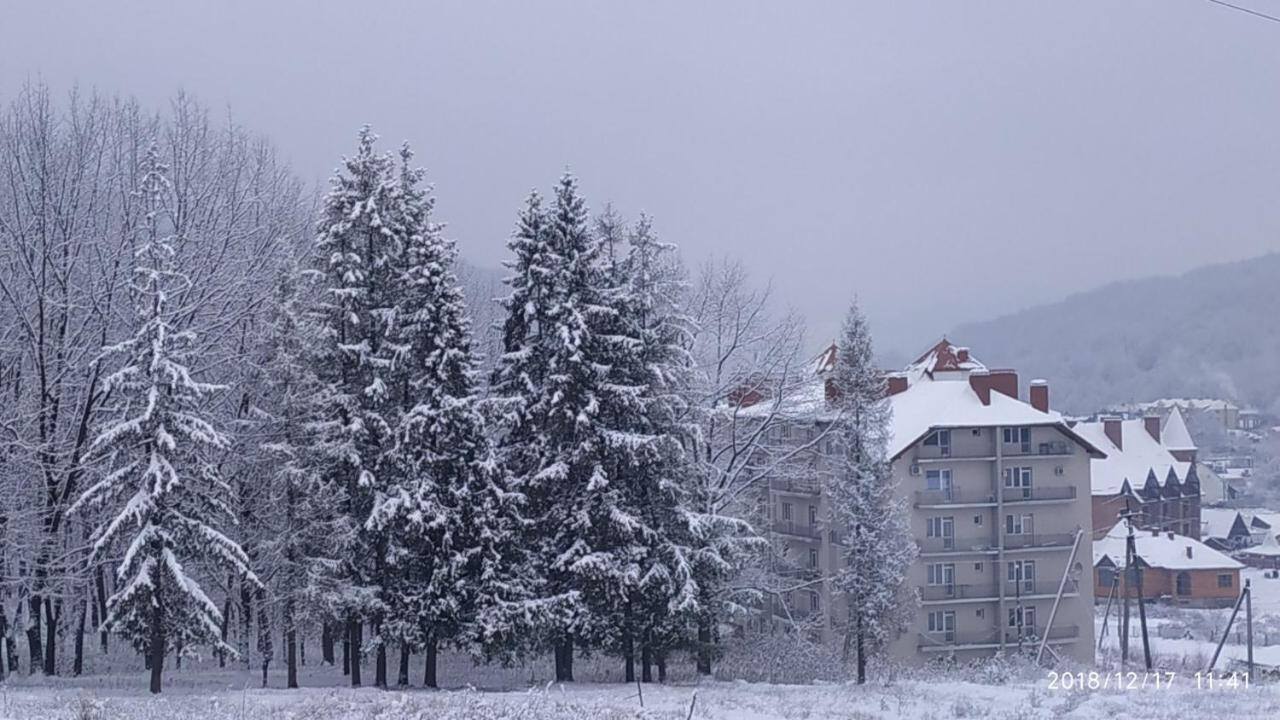 Polyana Apart Apartment Polyana (Transcarpathia)